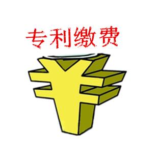 专利年费的缴纳方式