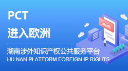 PCT进入欧洲