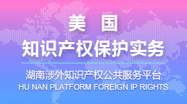 美国知识产权保护实务